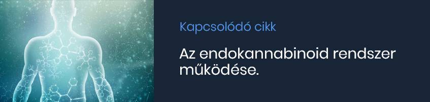 blogposztok-kapcsolodo-endokannabinoid-rendszer-2024.jpg