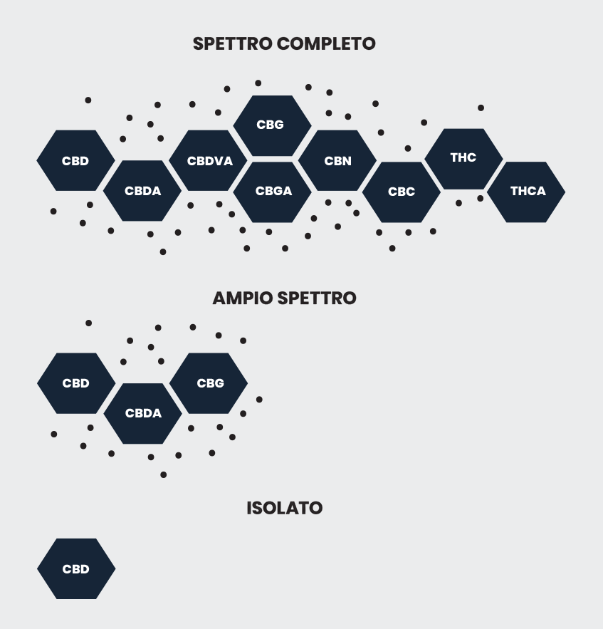 cbd-spectrum-it.png cbd-spectrum-it.png